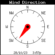 Direcci&oacute;n actual del viento